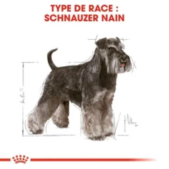 ROYAL CANIN Miniature Schnauzer Adult 7,5kg -Zooart Elegant Boutique fre pl ROYAL CANIN Miniature Schnauzer Adult 7 5kg 16847 7