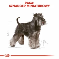 ROYAL CANIN Miniature Schnauzer Adult 7,5kg + Surprise Pour Votre Chien GRATUITES ! -Zooart Elegant Boutique fre pl ROYAL CANIN Miniature Schnauzer Adult 7 5kg surprise pour votre chien GRATUITES 17877 5