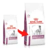 ROYAL CANIN Mobility Support 12kg