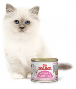 ROYAL CANIN Mother & Babycat Ultra Soft Mousse 195g X12