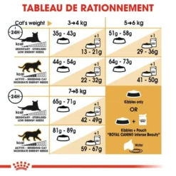 ROYAL CANIN Norwegian Forest Cat Adult 10kg -Zooart Elegant Boutique fre pl ROYAL CANIN Norwegian Forest Cat Adult 10kg 16942 4