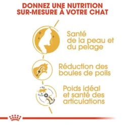 ROYAL CANIN Norwegian Forest Cat Adult 10kg -Zooart Elegant Boutique fre pl ROYAL CANIN Norwegian Forest Cat Adult 10kg 16942 5