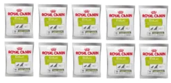 ROYAL CANIN Nutritional Supplement Educ 10x50g