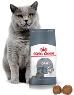 ROYAL CANIN Oral Care 8kg + Surprise Pour Votre Chat GRATUITES ! -Zooart Elegant Boutique fre pl ROYAL CANIN Oral Care 8kg surprise pour votre chat GRATUITES 17888 5