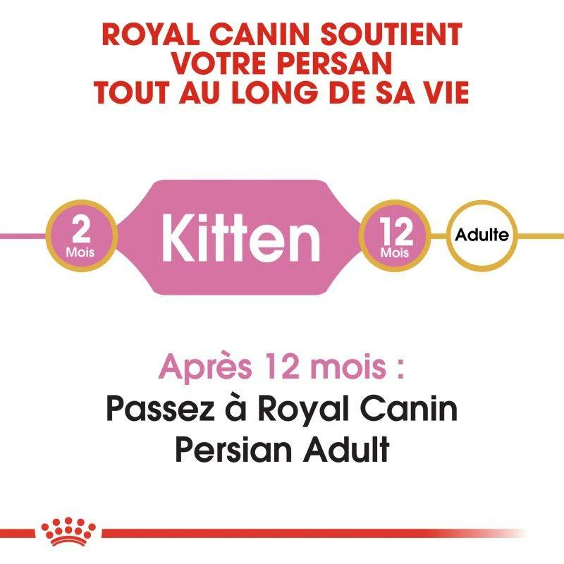 ROYAL CANIN Persian Kitten 10kg 3 ROYAL CANIN Persian Kitten 10kg – Image 3