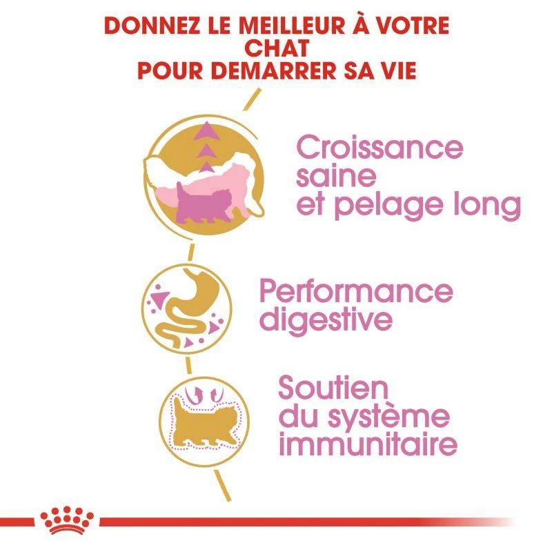 ROYAL CANIN Persian Kitten 10kg 4 ROYAL CANIN Persian Kitten 10kg – Image 4