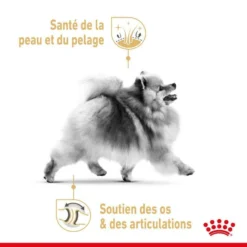 ROYAL CANIN Pomeranian Adult 3kg 8 ROYAL CANIN Pomeranian Adult 3kg -Zooart Elegant Boutique fre pl ROYAL CANIN Pomeranian Adult 3kg 13394 3