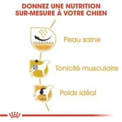 ROYAL CANIN Pug Adult 1,5kg 8 ROYAL CANIN Pug Adult 1,5kg -Zooart Elegant Boutique fre pl ROYAL CANIN Pug Adult 1 5kg 16110 4