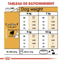 ROYAL CANIN Pug Adult 1,5kg 9 ROYAL CANIN Pug Adult 1,5kg -Zooart Elegant Boutique fre pl ROYAL CANIN Pug Adult 1 5kg 16110 5