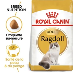 ROYAL CANIN Ragdoll Adult 10kg