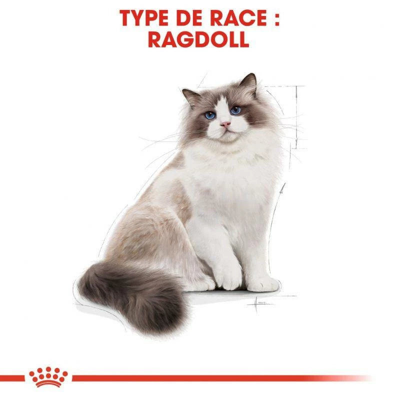 ROYAL CANIN Ragdoll Adult 2kg 4 ROYAL CANIN Ragdoll Adult 2kg – Image 4