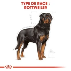 ROYAL CANIN Rottweiler Adult 12kg -Zooart Elegant Boutique fre pl ROYAL CANIN Rottweiler Adult 12kg 9456 3