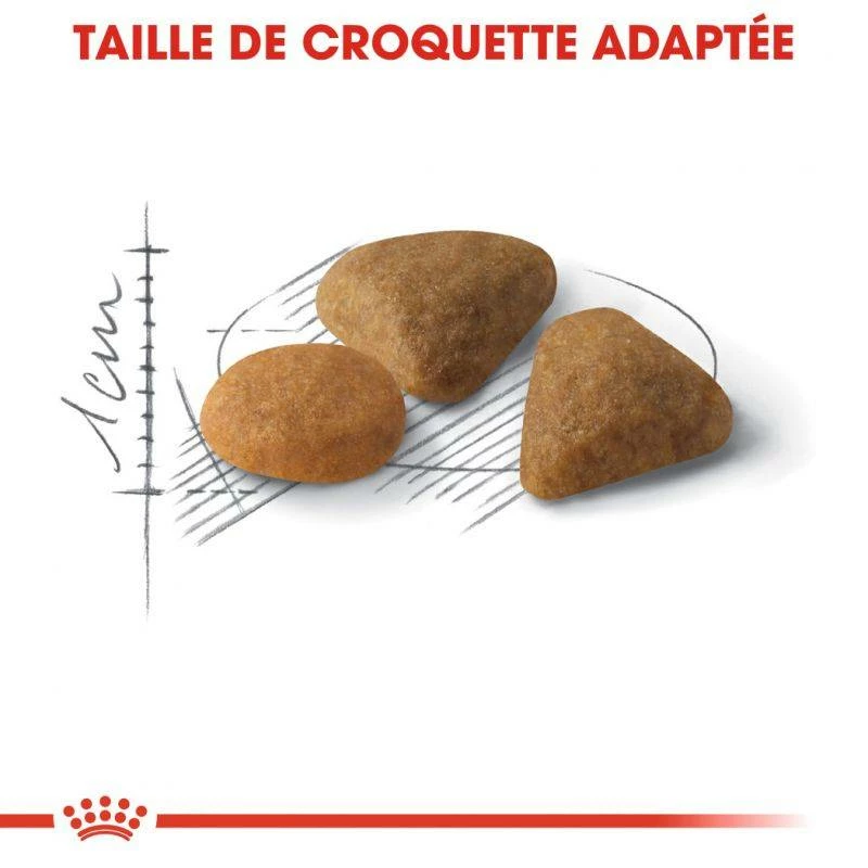 ROYAL CANIN Savour Exigent 2kg 4 ROYAL CANIN Savour Exigent 2kg – Image 4