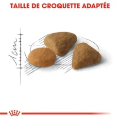 ROYAL CANIN Savour Exigent 4kg -Zooart Elegant Boutique fre pl ROYAL CANIN Savour Exigent 4kg 15990 7
