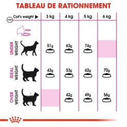 ROYAL CANIN Savour Exigent 4kg X2 -Zooart Elegant Boutique fre pl ROYAL CANIN Savour Exigent 4kg x2 30762 5