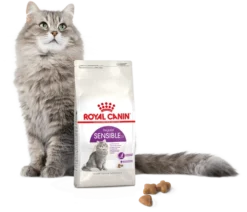 ROYAL CANIN Sensible 33 10kg + Surprise Pour Votre Chat GRATUITES ! 11 ROYAL CANIN Sensible 33 10kg + Surprise Pour Votre Chat GRATUITES ! -Zooart Elegant Boutique fre pl ROYAL CANIN Sensible 33 10kg surprise pour votre chat GRATUITES 17876 6