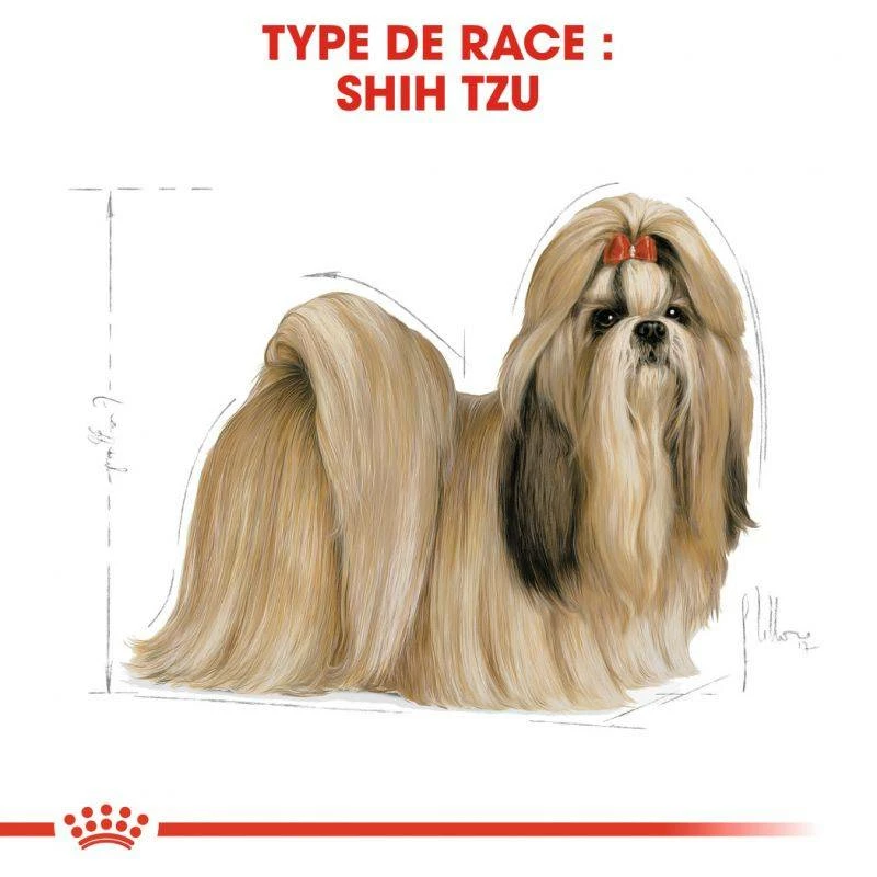 ROYAL CANIN Shih Tzu Adult 7,5kg + Surprise Gratuite Pour Votre Chien 2 ROYAL CANIN Shih Tzu Adult 7,5kg + Surprise Gratuite Pour Votre Chien – Image 2