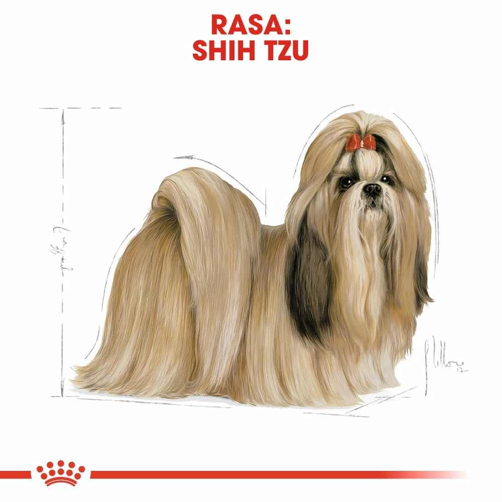 ROYAL CANIN Shih Tzu Adult 7,5kg + Surprise Pour Votre Chien GRATUITES ! 6 ROYAL CANIN Shih Tzu Adult 7,5kg + Surprise Pour Votre Chien GRATUITES ! – Image 6