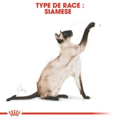 ROYAL CANIN Siamese Adult 400g -Zooart Elegant Boutique fre pl ROYAL CANIN Siamese Adult 400g 9498 3