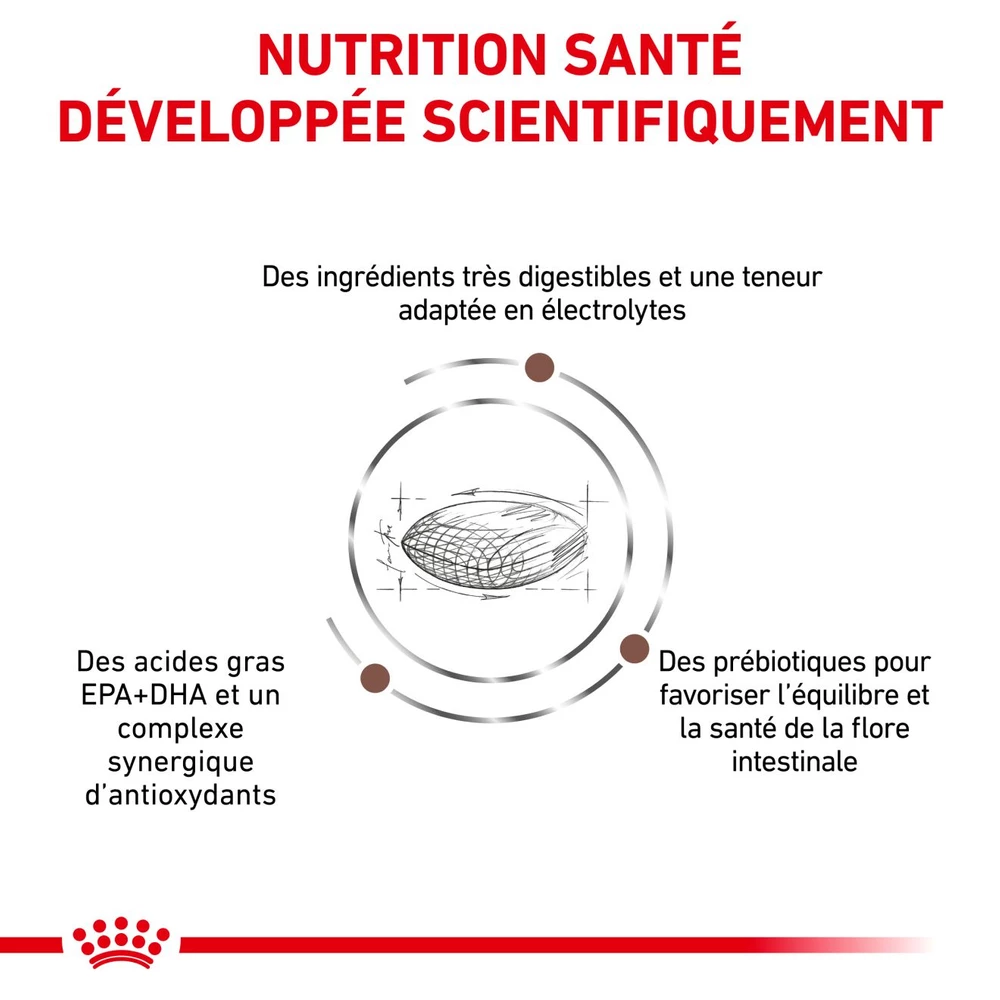 ROYAL CANIN Skin Hairball Gastrointestinal 2kg 5 ROYAL CANIN Skin Hairball Gastrointestinal 2kg – Image 5