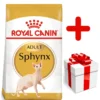 ROYAL CANIN Sphynx Adult 10kg + Surprise Pour Votre Chat GRATUITES !