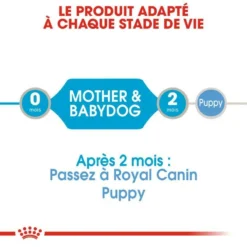 ROYAL CANIN Starter Mousse Mother & Babydog 195gx 12 -Zooart Elegant Boutique fre pl ROYAL CANIN Starter Mousse Mother Babydog 195g x 12 30032 4