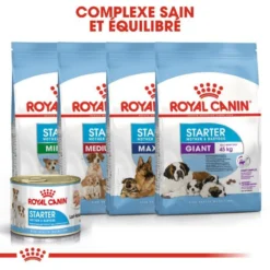 ROYAL CANIN Starter Mousse Mother & Babydog 195gx 12 -Zooart Elegant Boutique fre pl ROYAL CANIN Starter Mousse Mother Babydog 195g x 12 30032 5