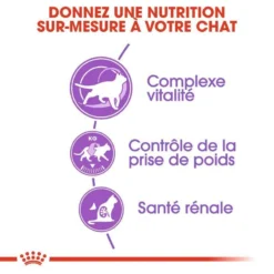 ROYAL CANIN Sterilised +7 10kg -Zooart Elegant Boutique fre pl ROYAL CANIN Sterilised 7 10kg 16804 3