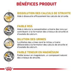ROYAL CANIN Urinary S/O 2kg 11 ROYAL CANIN Urinary S/O 2kg -Zooart Elegant Boutique fre pl ROYAL CANIN Urinary S O 2kg 15547 3