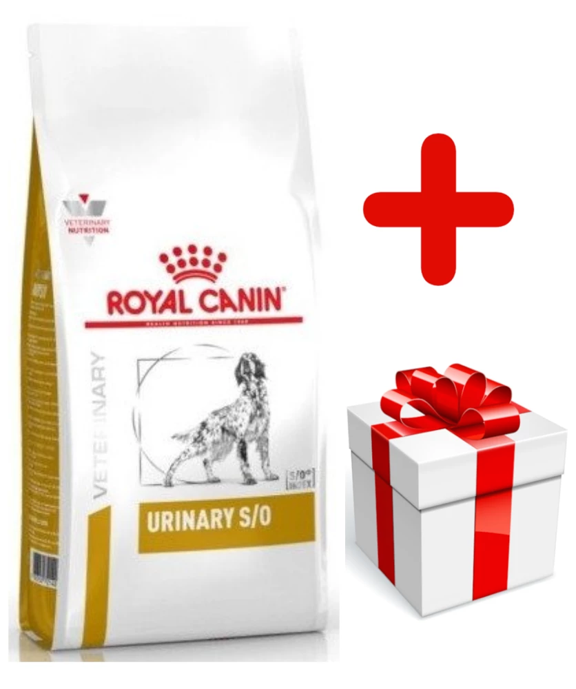 ROYAL CANIN Urinary S/O 7,5kg + Surprise Pour Votre Chien GRATUITES ! 1 ROYAL CANIN Urinary S/O 7,5kg + Surprise Pour Votre Chien GRATUITES !