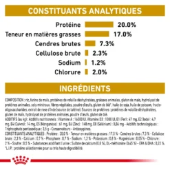 ROYAL CANIN Urinary S/O Small Dog 4kg 8 ROYAL CANIN Urinary S/O Small Dog 4kg -Zooart Elegant Boutique fre pl ROYAL CANIN Urinary S O Small Dog 4kg 16153 3