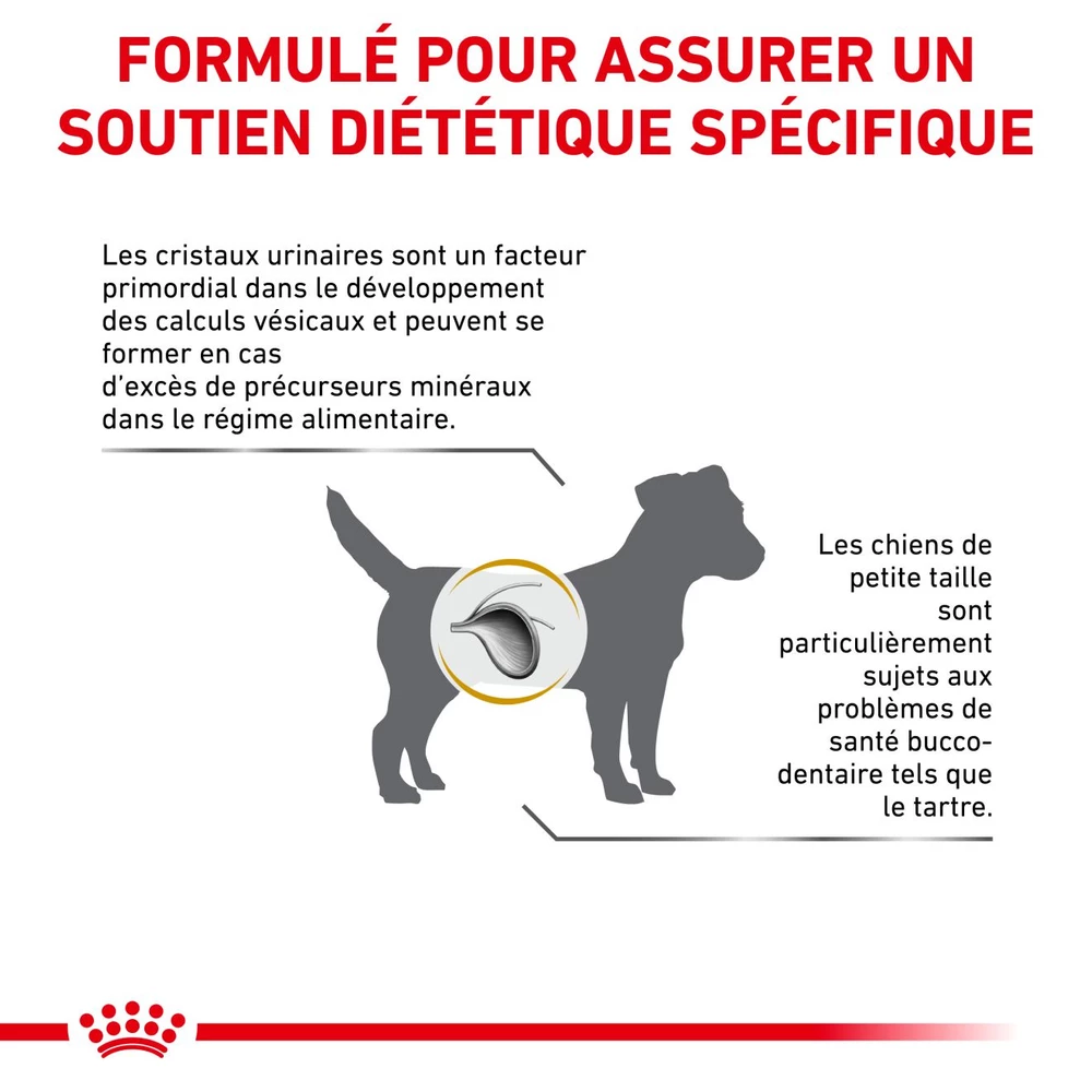 ROYAL CANIN Urinary S/O Small Dog 4kg 6 ROYAL CANIN Urinary S/O Small Dog 4kg – Image 6