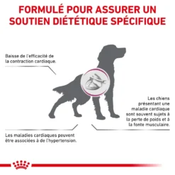 ROYAL CANIN Veterinary Cardiac 2kg X2 10 ROYAL CANIN Veterinary Cardiac 2kg X2 -Zooart Elegant Boutique fre pl ROYAL CANIN Veterinary Cardiac 2kg x2 30663 5