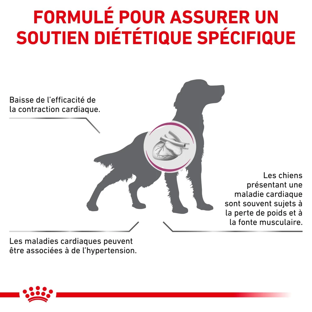 ROYAL CANIN Veterinary Cardiac 2kg X2 5 ROYAL CANIN Veterinary Cardiac 2kg X2 – Image 5