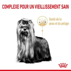 ROYAL CANIN Yorkshire Terrier Adult 8+ 3 Kg -Zooart Elegant Boutique fre pl ROYAL CANIN Yorkshire Terrier Adult 8 3 kg 12530 6