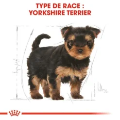 ROYAL CANIN Yorkshire Terrier Puppy 1,5kg -Zooart Elegant Boutique fre pl ROYAL CANIN Yorkshire Terrier Puppy 1 5kg 9597 3