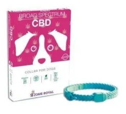 RomeRoyalDog Petit Collier Pour Chien Avec CBD 37cm