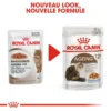 Royal Canin Ageing +12 12x85g