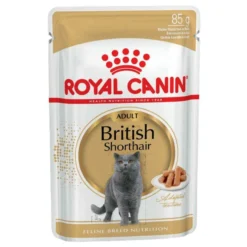 Royal Canin British Shorthair Adult 12x85g -Zooart Elegant Boutique fre pl Royal Canin British Shorthair Adult 12x85g 9090 2