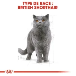 Royal Canin British Shorthair Adult 12x85g -Zooart Elegant Boutique fre pl Royal Canin British Shorthair Adult 12x85g 9090 4