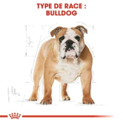 Royal Canin Bulldog Adult 12kg -Zooart Elegant Boutique fre pl Royal Canin Bulldog Adult 12kg 9130 3