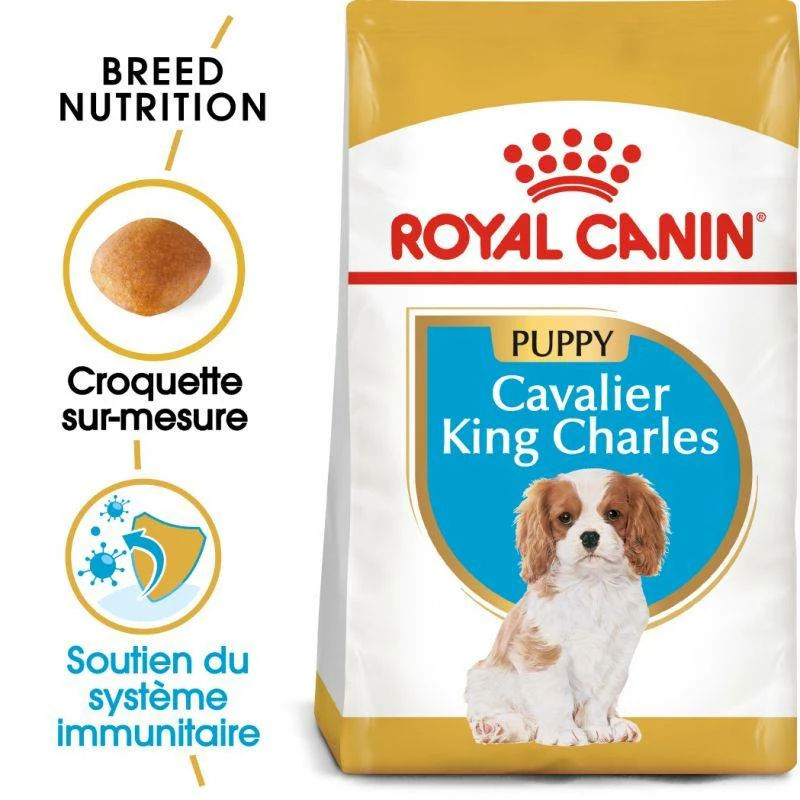 Royal Canin Cavalier King Charles Spaniel Puppy 1,5kg 1 Royal Canin Cavalier King Charles Spaniel Puppy 1,5kg