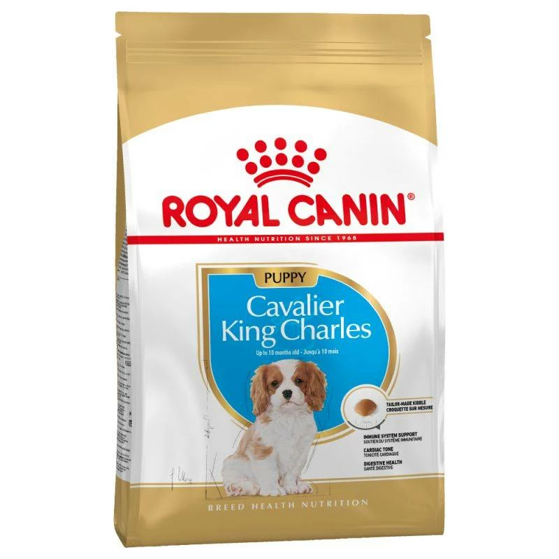 Royal Canin Cavalier King Charles Spaniel Puppy 1,5kg 2 Royal Canin Cavalier King Charles Spaniel Puppy 1,5kg – Image 2