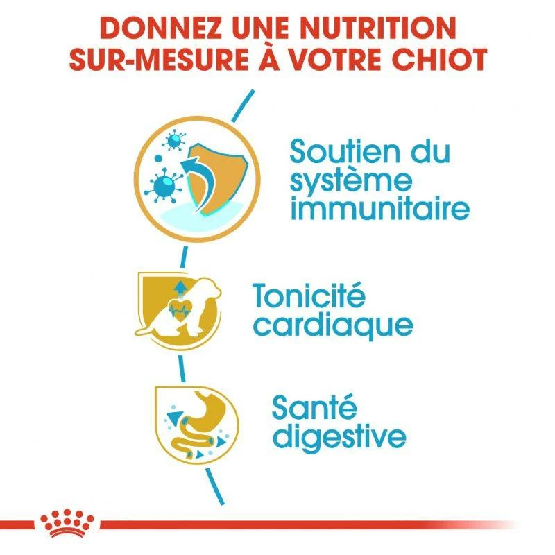 Royal Canin Cavalier King Charles Spaniel Puppy 1,5kg 6 Royal Canin Cavalier King Charles Spaniel Puppy 1,5kg – Image 6