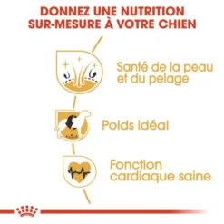 Royal Canin Cocker Spaniel Adult 12kg -Zooart Elegant Boutique fre pl Royal Canin Cocker Spaniel Adult 12kg 9147 4