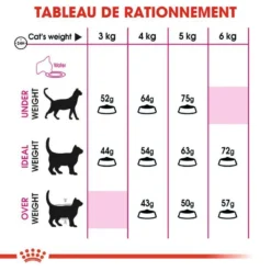 Royal Canin Exigent Aromatic Attraction 33 10kg 11 Royal Canin Exigent Aromatic Attraction 33 10kg -Zooart Elegant Boutique fre pl Royal Canin Exigent Aromatic Attraction 33 10kg 9175 6