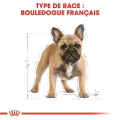 Royal Canin French Bulldog Adult 9kg -Zooart Elegant Boutique fre pl Royal Canin French Bulldog Adult 9kg 9161 2