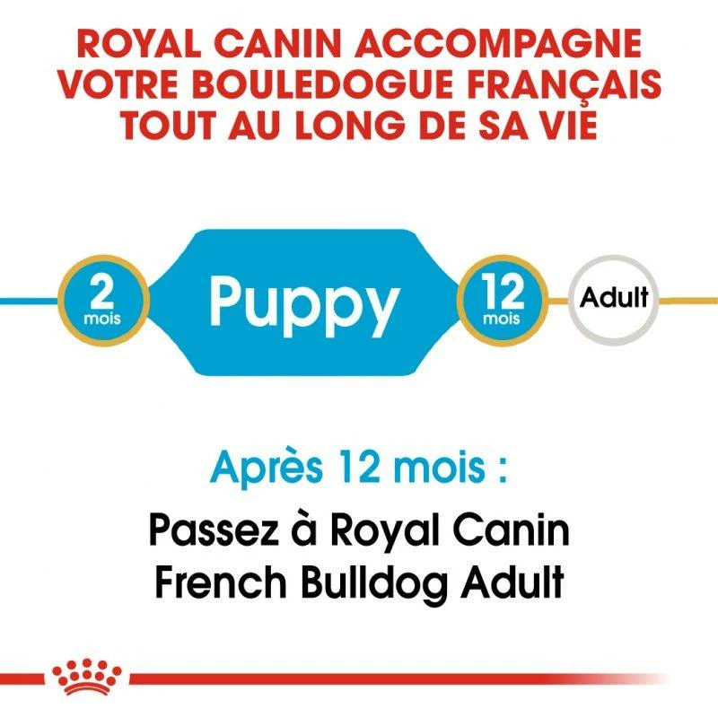 Royal Canin French Bulldog Puppy 1kg 4 Royal Canin French Bulldog Puppy 1kg – Image 4