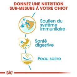 Royal Canin French Bulldog Puppy 1kg 11 Royal Canin French Bulldog Puppy 1kg -Zooart Elegant Boutique fre pl Royal Canin French Bulldog Puppy 1kg 9189 5