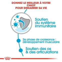 Royal Canin Giant Junior 15kg -Zooart Elegant Boutique fre pl Royal Canin Giant Junior 15kg 9205 4